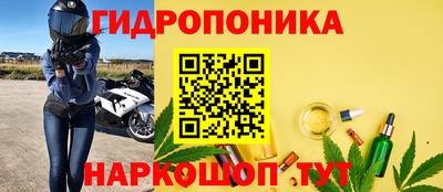 прущие грибы Будённовск