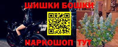 прущие грибы Будённовск