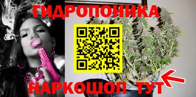 прущие грибы Будённовск