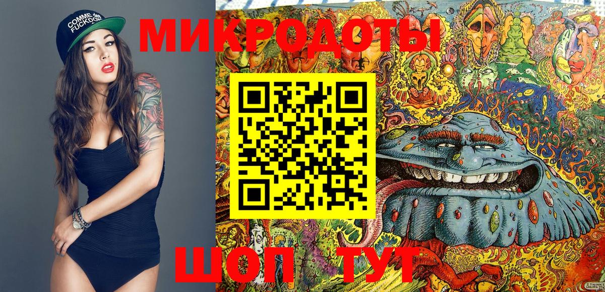 Галлюциногенные грибы Psilocybine cubensis Торжок